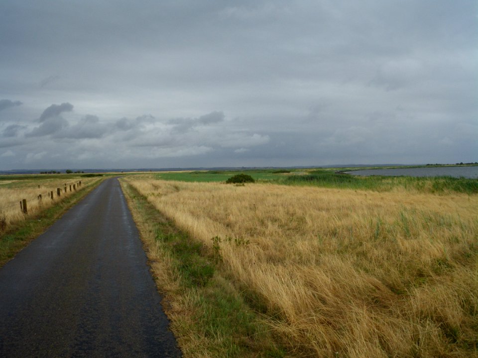 Drejo Skov