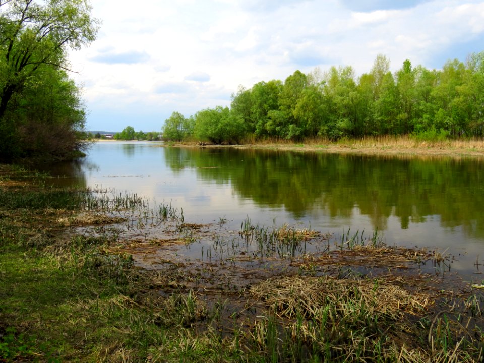 Desna mouth zatoka1