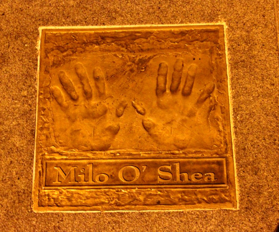 Dublin Gaiety Theatre Handprint Milo O Shea