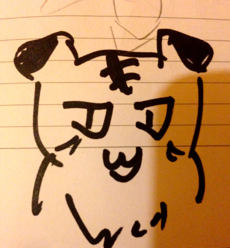 DrawofaCat