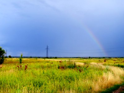Desna meadows rainbow