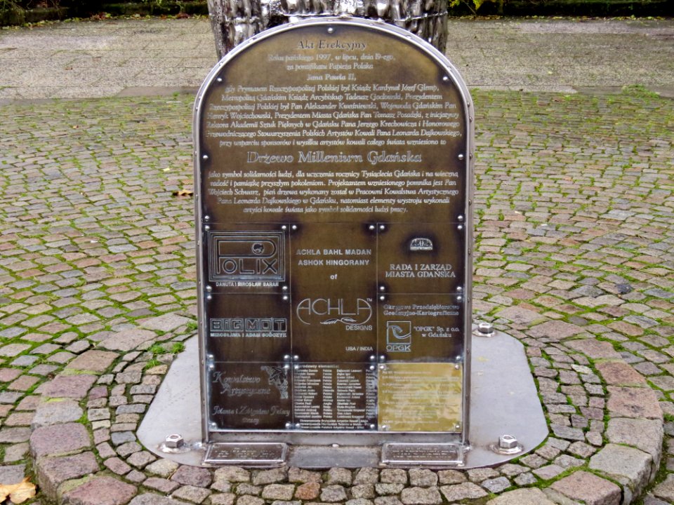 Drzewo Millennium Gdańsk 1