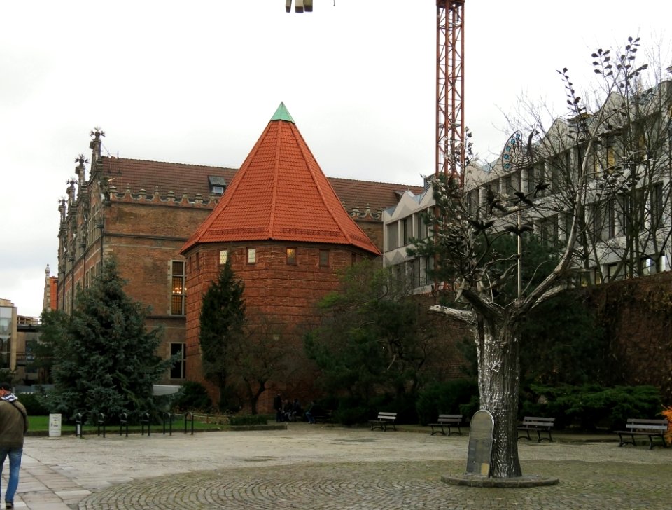Drzewo Millennium Gdańsk 2