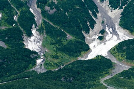 Plant aerial view