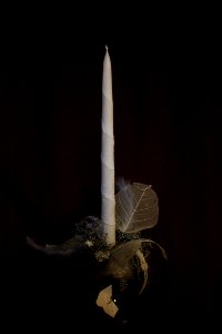 Advent floristry 3881