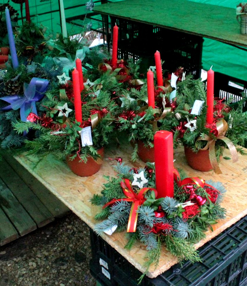 Advent floristry9999 17u