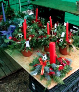 Advent floristry9999 17u