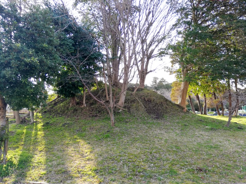 Ōiwayama Kofun Group Kamezuka Kofun 20210307 02