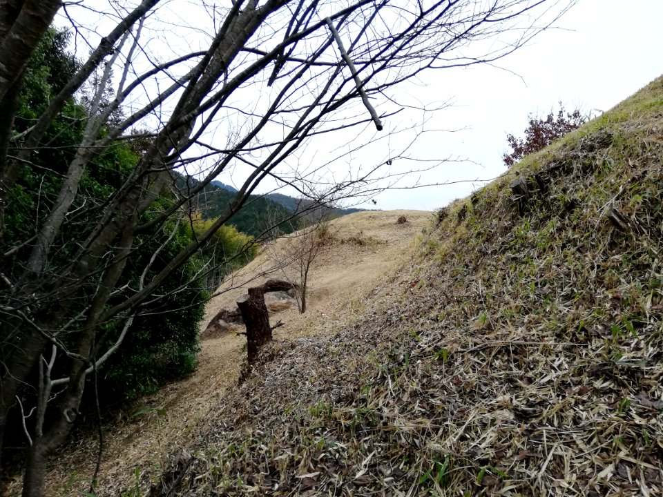 Ōiwayama Kofun Group Tennōyama Kofun 20210307 05