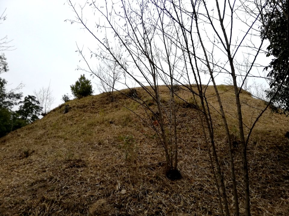 Ōiwayama Kofun Group Tennōyama Kofun 20210307 02