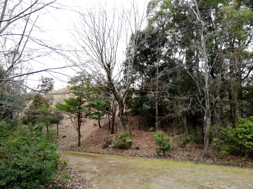 Ōiwayama Kofun Group Tennōyama Kofun 20210307 01