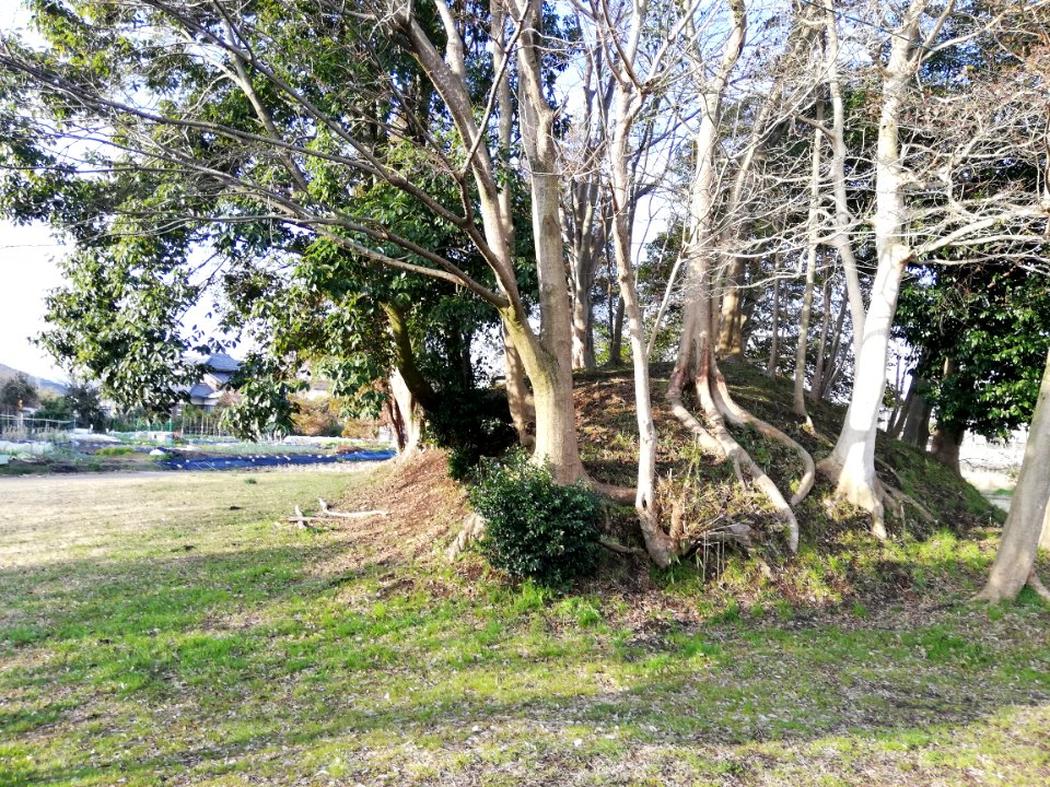 Ōiwayama Kofun Group Kamezuka Kofun 20210307 03
