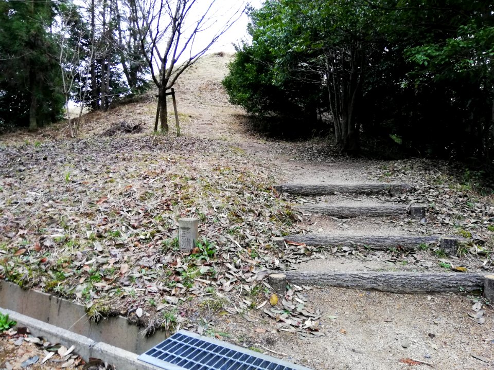 Ōiwayama Kofun Group Tennōyama Kofun 20210307 03