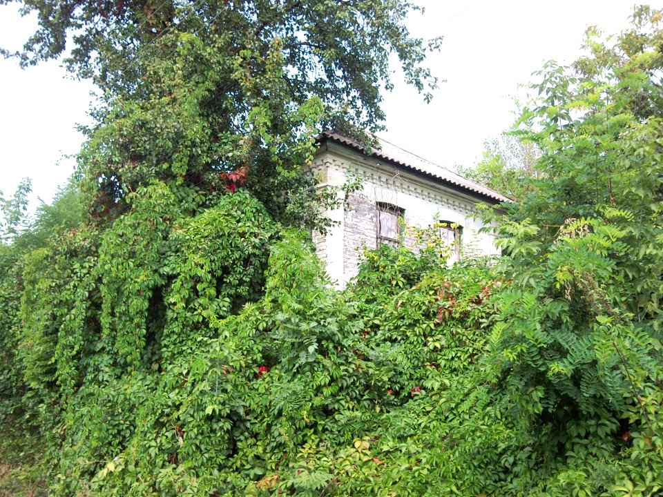 Борсків Будинок старовірів 2