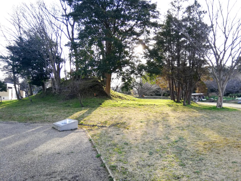 Ōiwayama Kofun Group Kamezuka Kofun 20210307 01