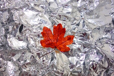 Silver decoration leaf on foil photo
