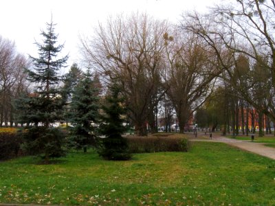 Łódź Park Staromiejski 04