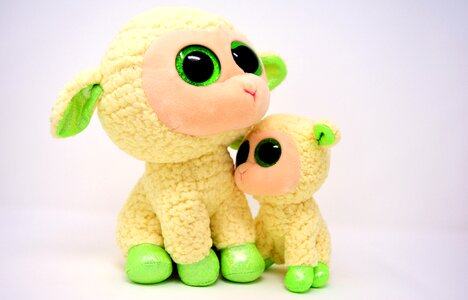 Nature lamb cute