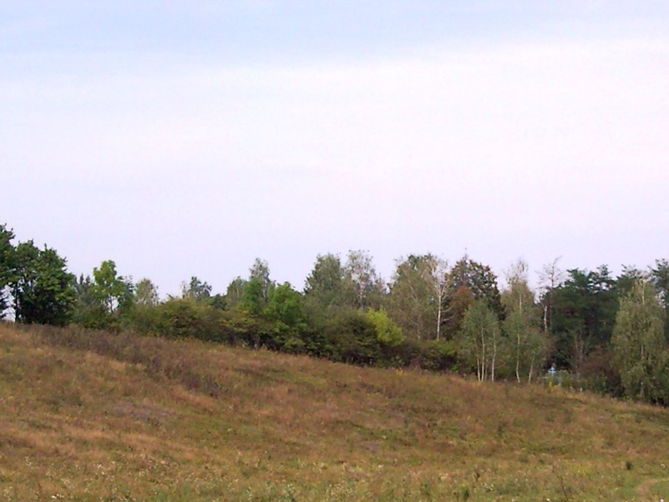 Борсків Цвинтар
