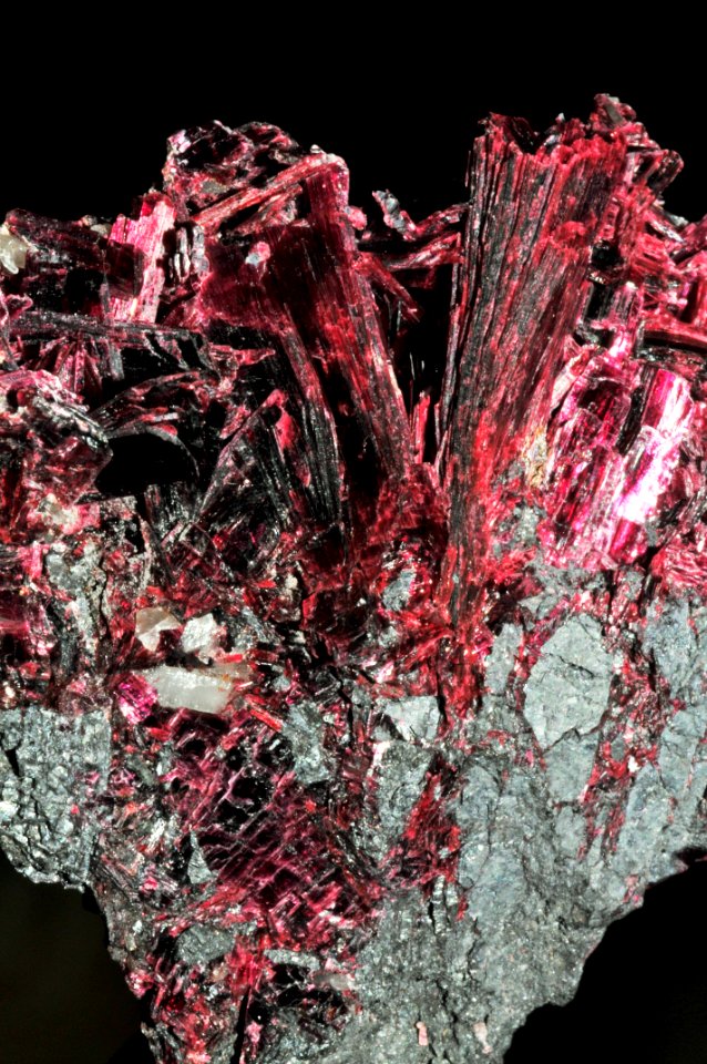 Érythrite et quartz (Maroc) 3