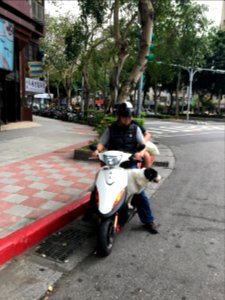 A Couple with Dog on Motorcycle in Songshan District, Taipei 20180404