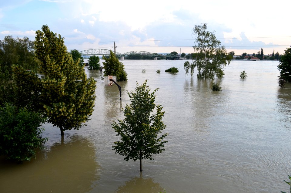Árvíz Esztergomban, az Erzsébet parkban (2013, június 8.)