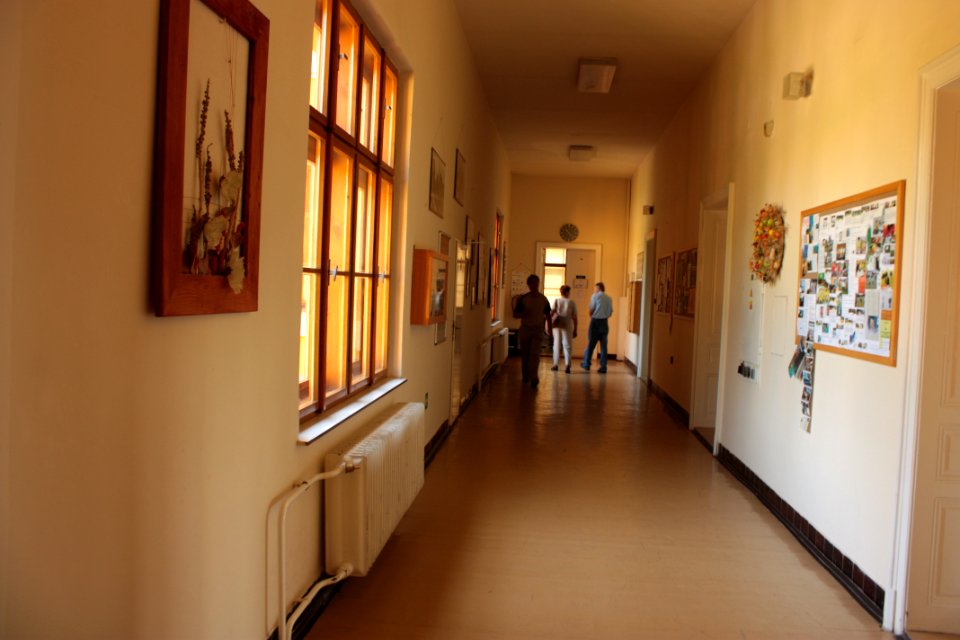 Český pomologický ústav Bohunice 164