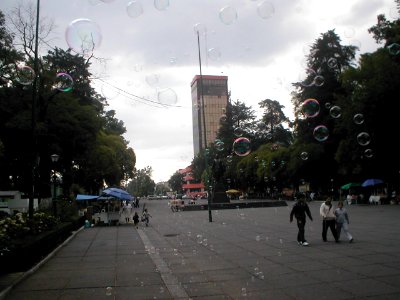 Alameda con burbujas