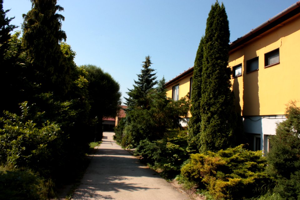 Český pomologický ústav Bohunice 105