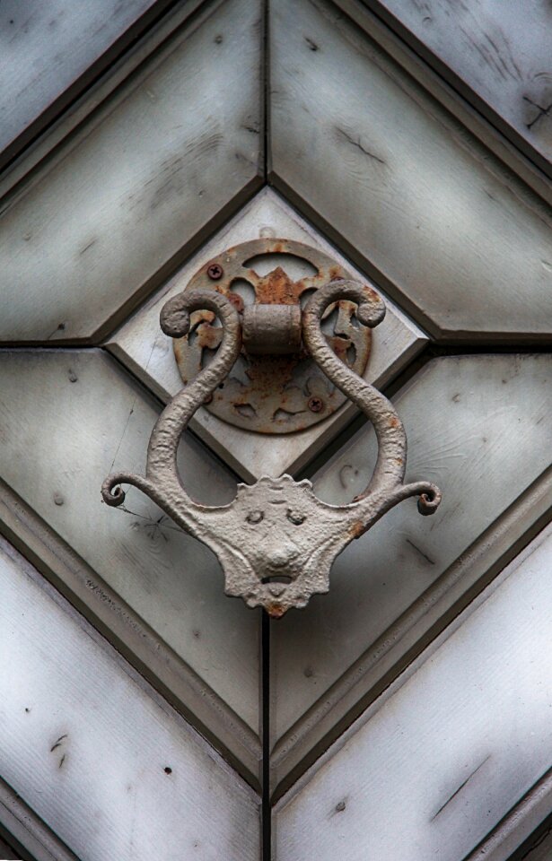 Ornament fitting door