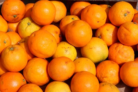 Fruit vitamin c citrus fruits photo