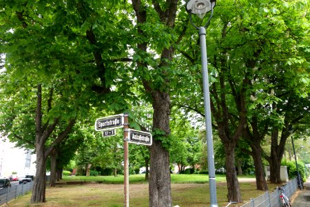 Amboß, Amboßstrasse, Düsseldorf-Lörick (4)