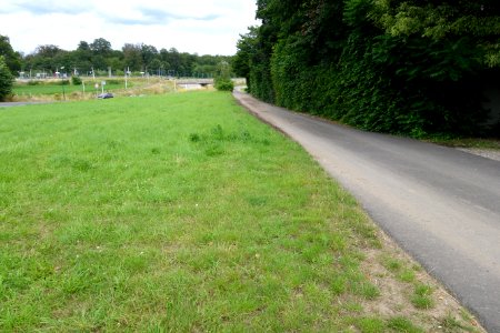 Am Dickenbusch (Düsseldorf), 2021 (1)