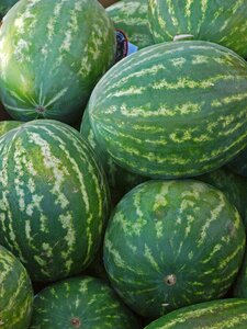 Pasture agriculture freshness