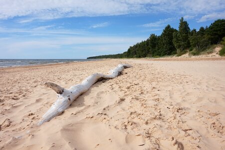 Baltic beach sky photo