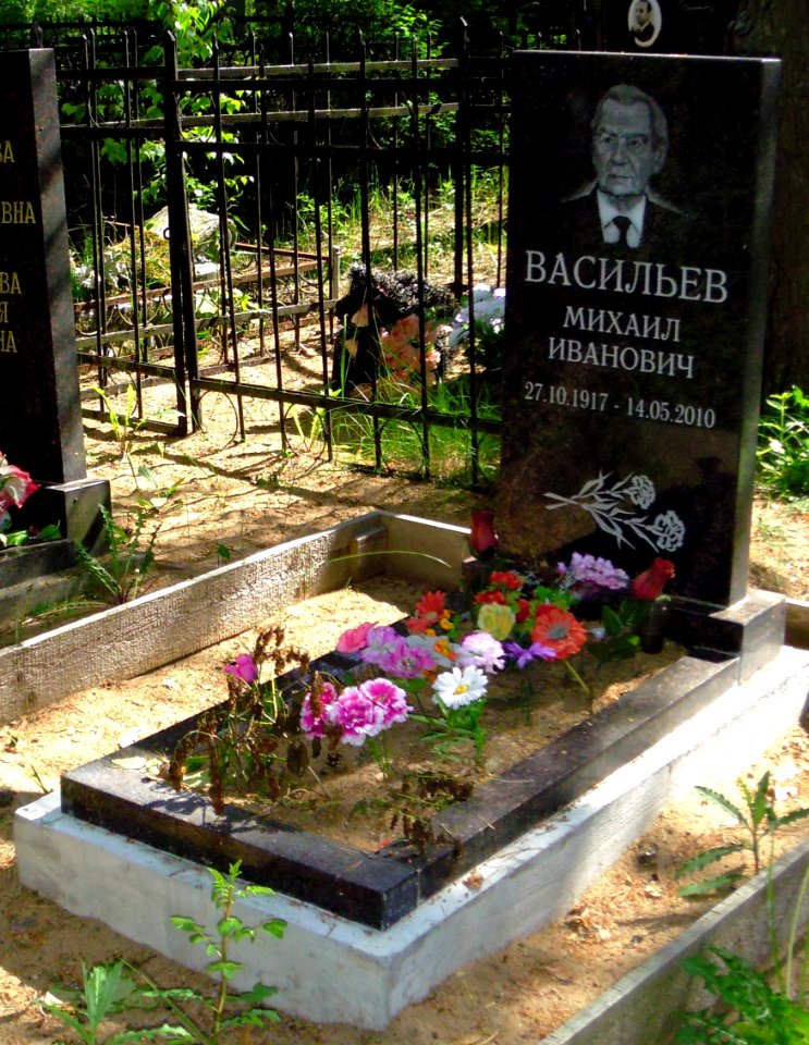 Сестрорецк кладбище Васильев Михаил Иванович