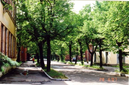 Сестрорецк аллея вдоль технич. и ц.7 к заводоуправлению