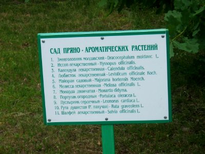 Сестрорецк Белые Ночи Сад пряно ароматических растений
