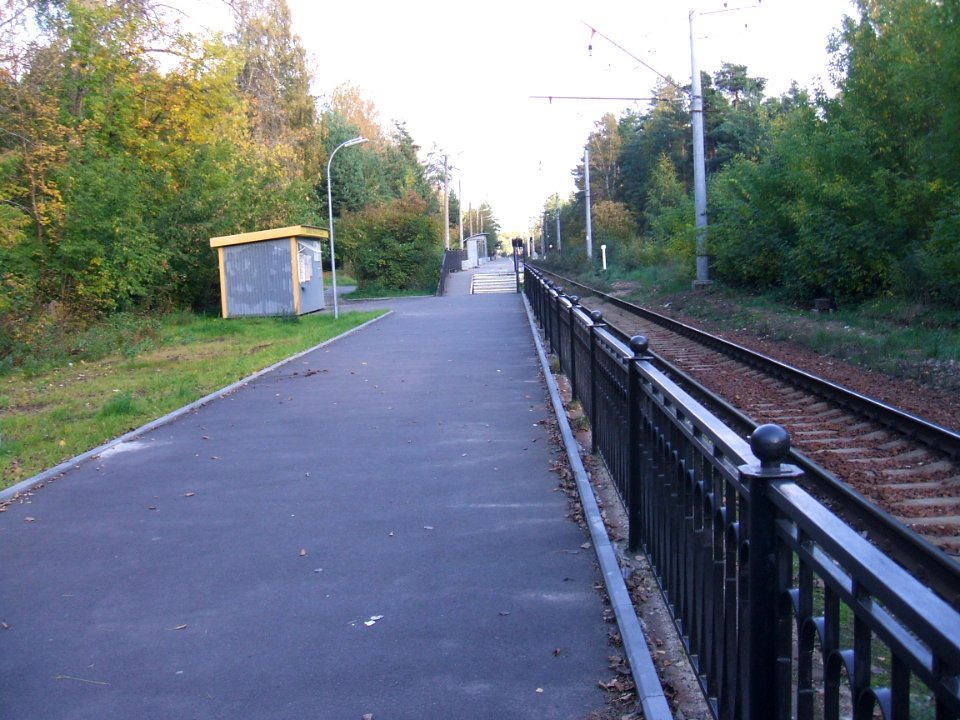 Сестрорецкий курорт. Платформа ж.д. в 2011 году
