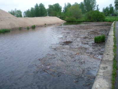Сестрорецкий Разлив камышовые плавни