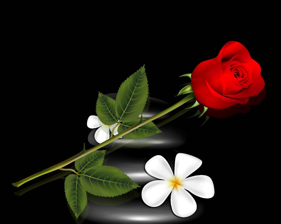 Leaf floral tulip
