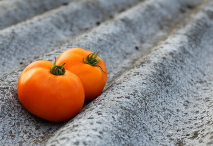 Harvest food orange tomato photo