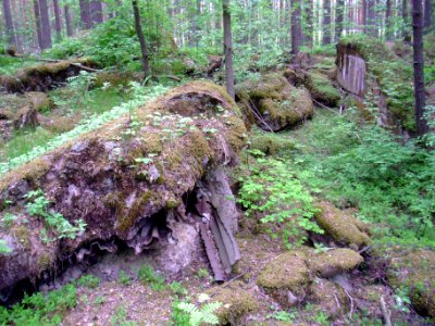 Форт Ино6