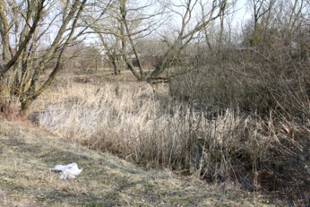 Форт "Е". Кусок обводного канала
