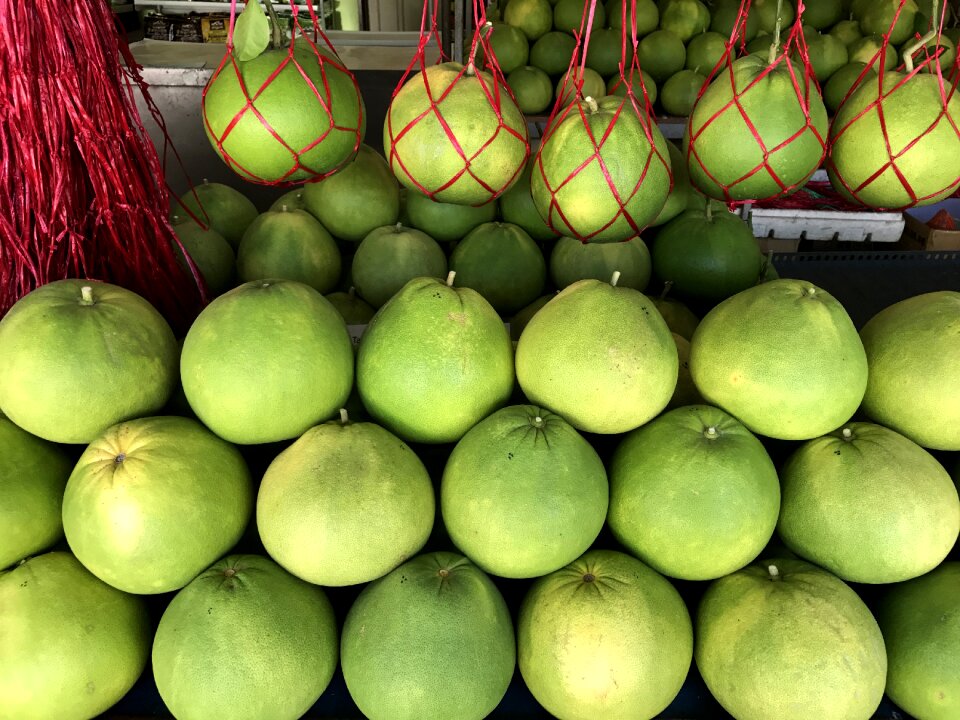 Citrus maxima citrus grandis citrus