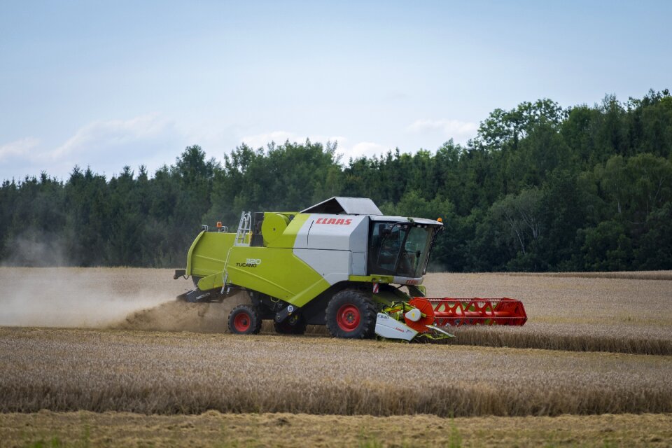 Agriculture cereals cornfield