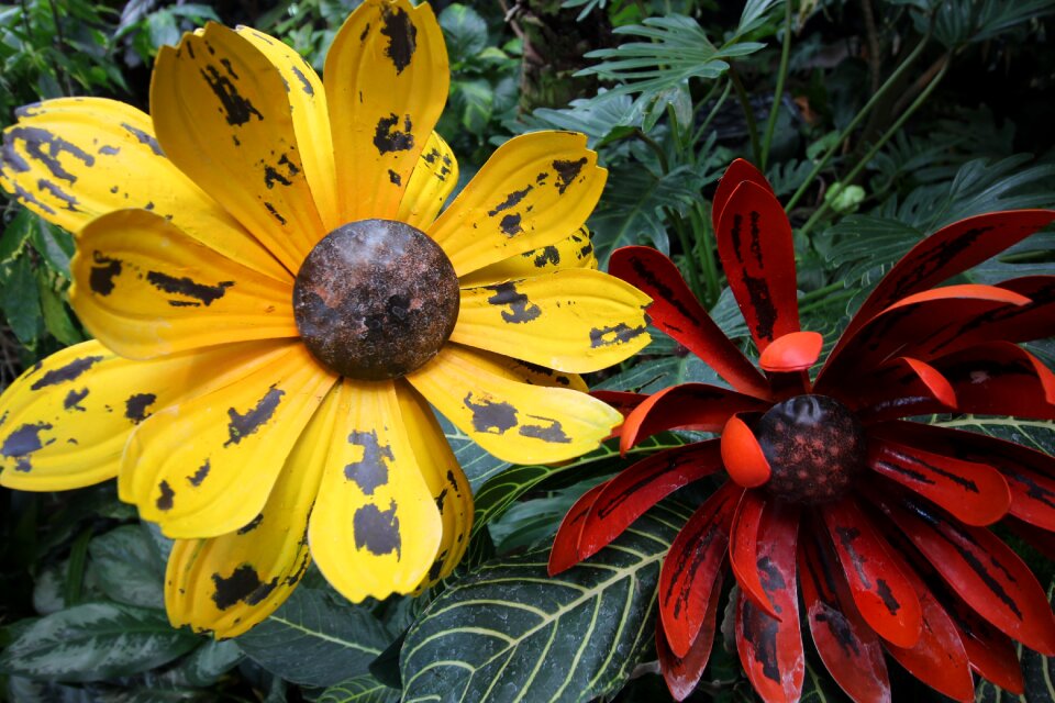 Floral plant yellow flowers
