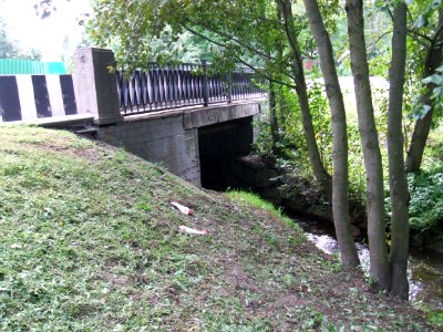 Зеленогорск ручей Жемчужный Мост ул.Красных Командиров