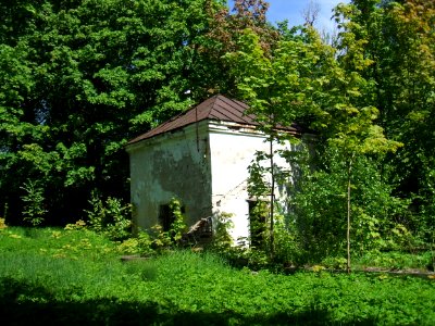 Дом Новикова3 2010