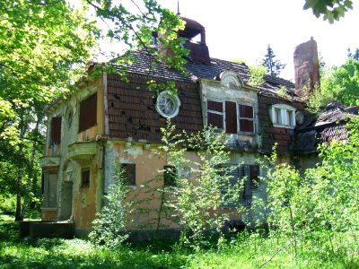 Дом Новикова1 2010